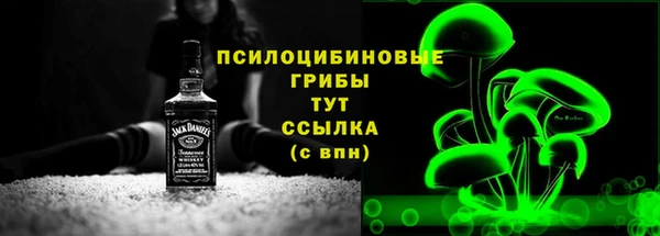 МДПВ Белокуриха