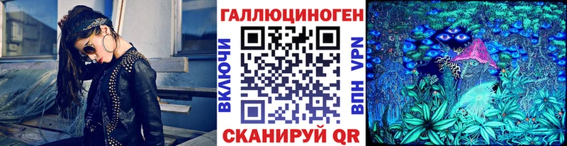 Галлюциногенные грибы Psilocybine cubensis  Вельск 